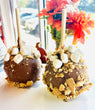 S'mores Caramel & Chocolate Apple