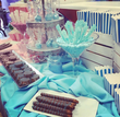 Pink & Baby Blue Gender Reveal Candy Table