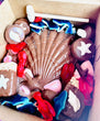 Breakable Chocolate Seashell